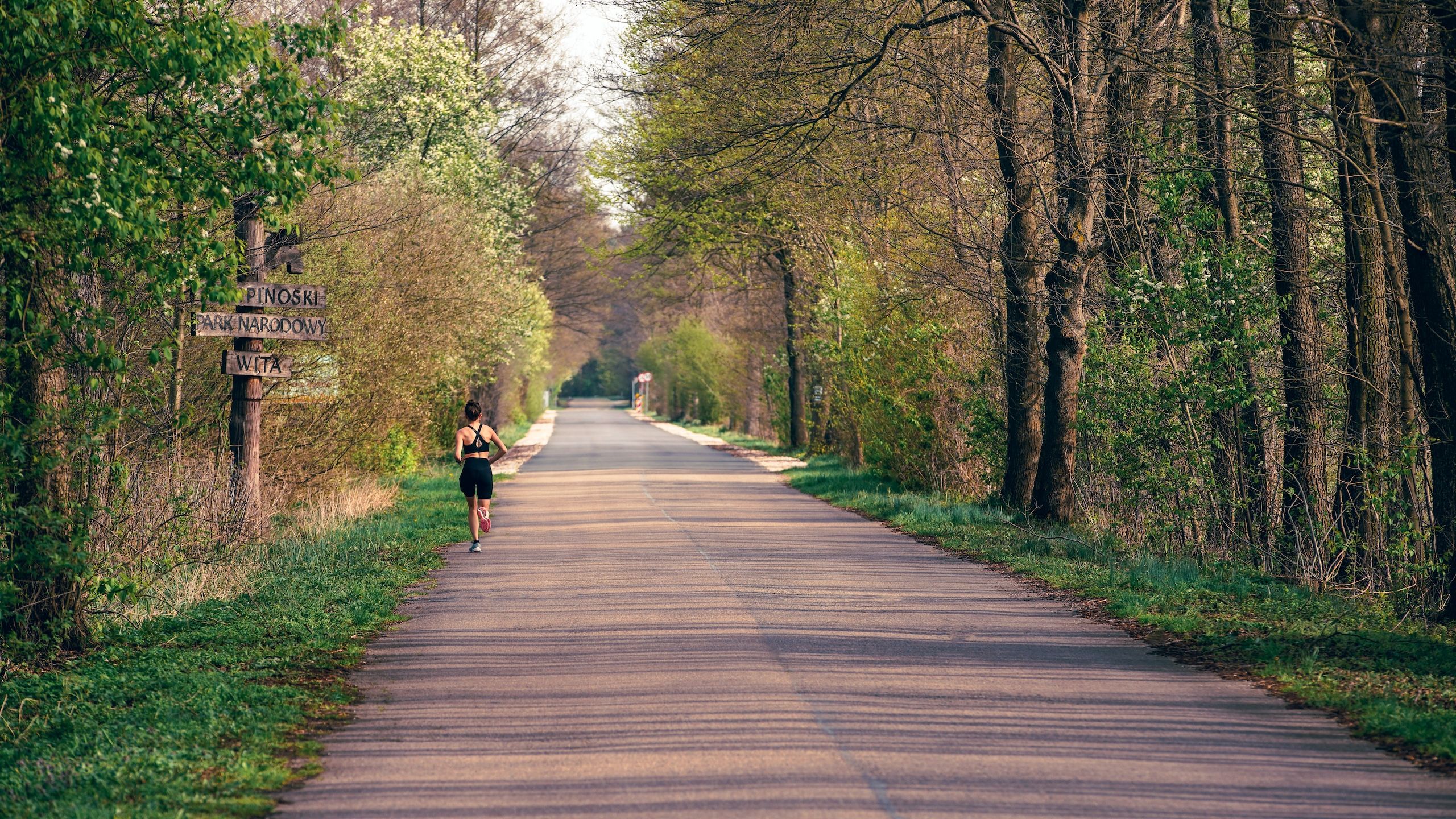 Zdjęcie przedstawia spokojną, obsadzoną drzewami drogę, z oddalającym się biegaczem, drewniany znak z napisem KAMPINOWSKI PARK NARODOWY WITA.