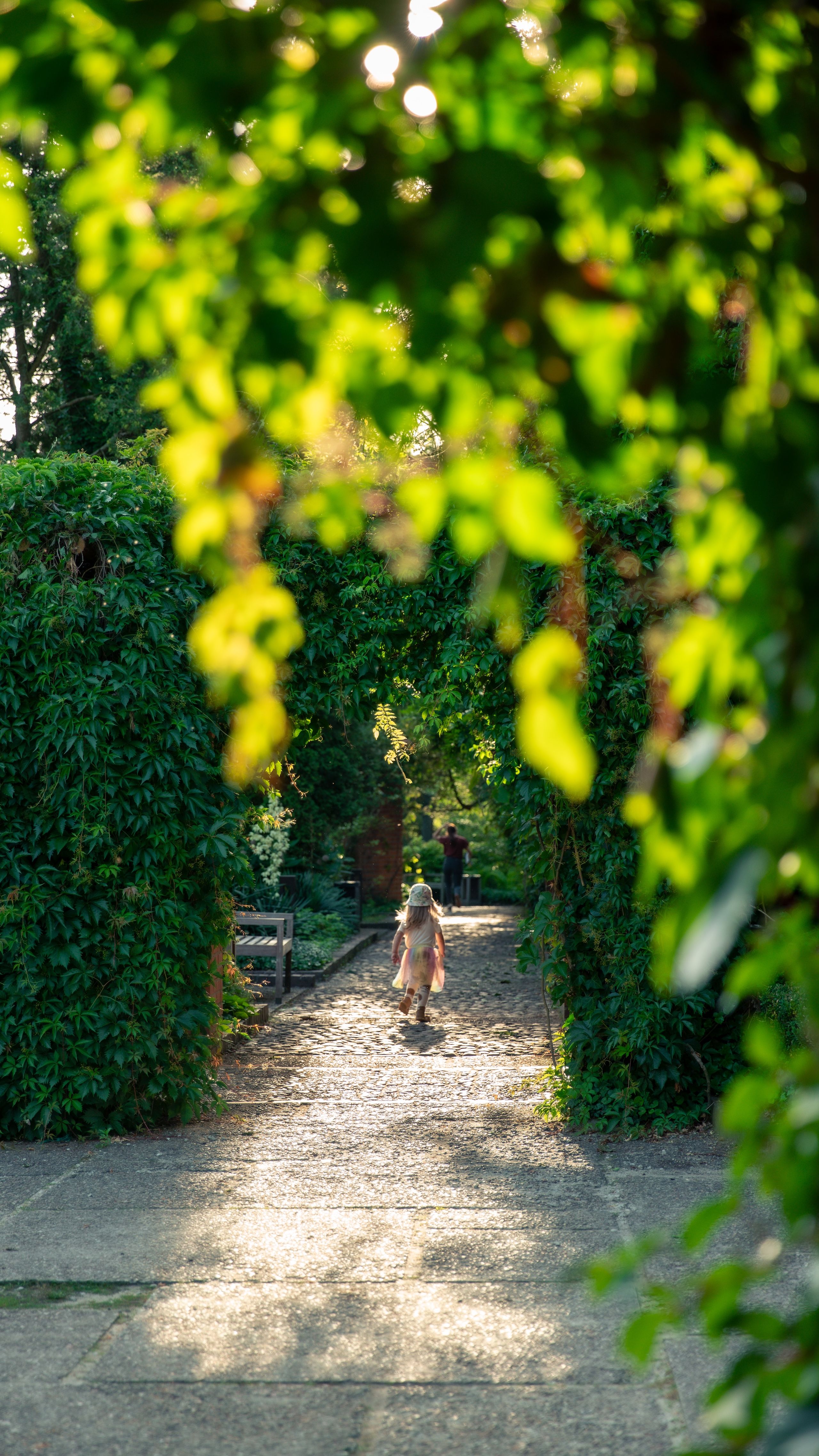Zdjęcie przedstawia ścieżkę ogrodową z łukiem z zielonych winorośli, promienie słońca prześwitujące przez liście i dziecko idące w dal po brukowanej ścieżce.
